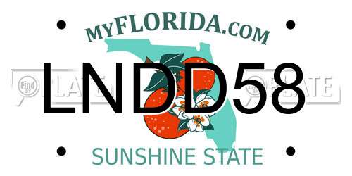 LNDD58 Florida License Plate