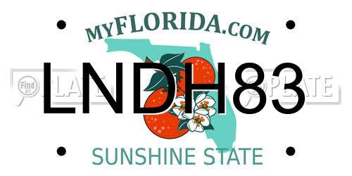 LNDH83 Florida License Plate