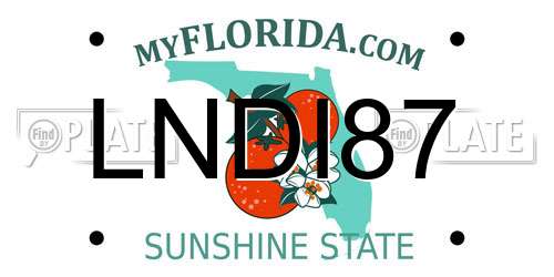 LNDI87 Florida License Plate