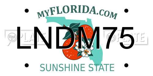 LNDM75 Florida License Plate