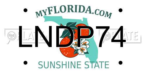 LNDP74 Florida License Plate