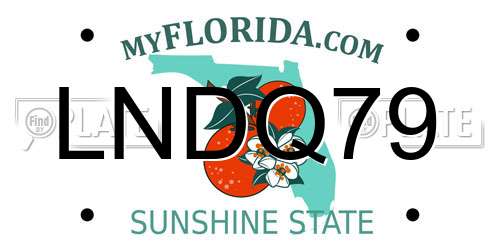 LNDQ79 Florida License Plate