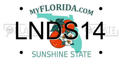 LNDS14 Florida License Plate