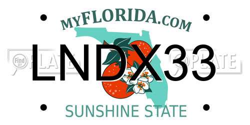 LNDX33 Florida License Plate