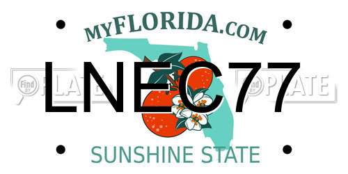 LNEC77 Florida License Plate