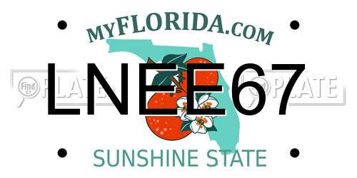 LNEE67 Florida License Plate