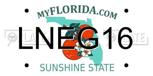 LNEG16 Florida License Plate