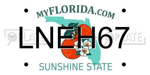 LNEH67 Florida License Plate