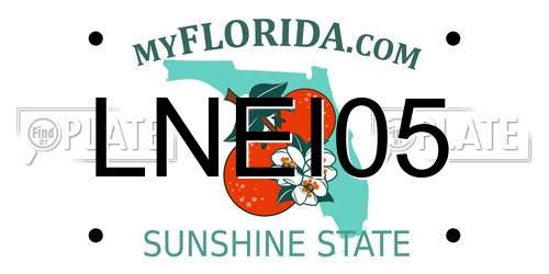 LNEI05 Florida License Plate