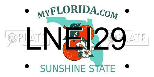 LNEI29 Florida License Plate