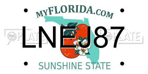 LNEJ87 Florida License Plate