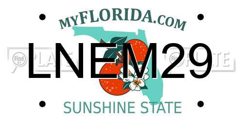 LNEM29 Florida License Plate