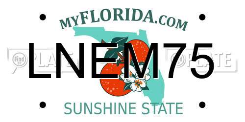 LNEM75 Florida License Plate