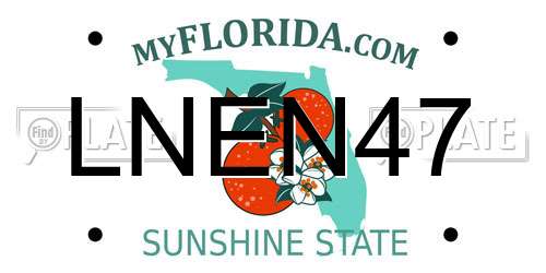LNEN47 Florida License Plate