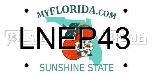LNEP43 Florida License Plate