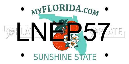 LNEP57 Florida License Plate