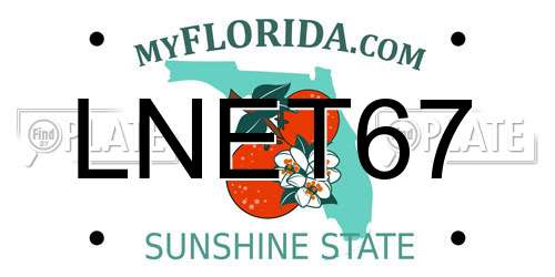 LNET67 Florida License Plate