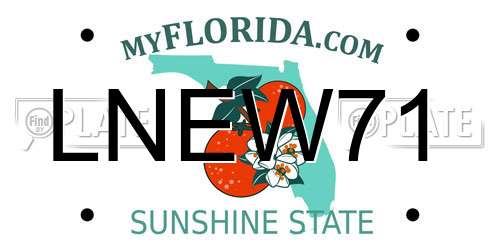 LNEW71 Florida License Plate