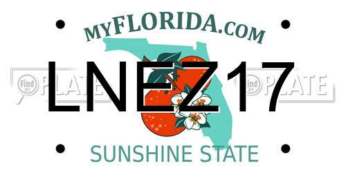 LNEZ17 Florida License Plate