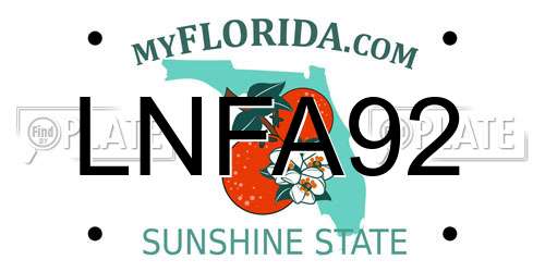 LNFA92 Florida License Plate