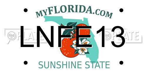LNFE13 Florida License Plate