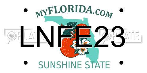 LNFE23 Florida License Plate