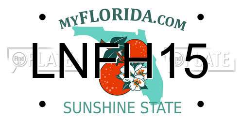 LNFH15 Florida License Plate