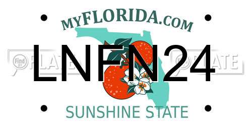 LNFN24 Florida License Plate
