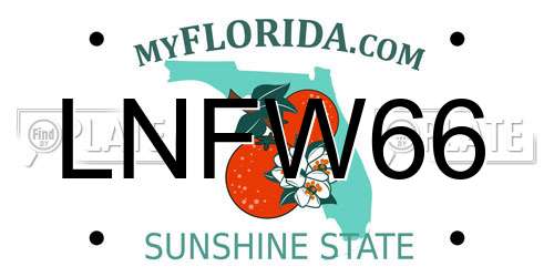 LNFW66 Florida License Plate