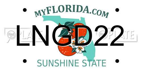 LNGD22 Florida License Plate