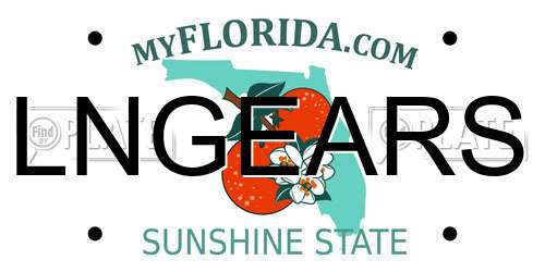 LNGEARS Florida License Plate