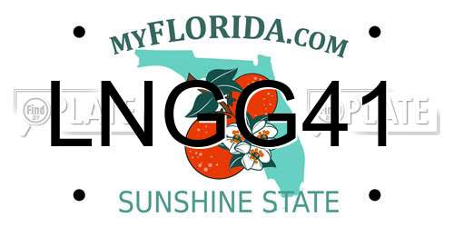 LNGG41 Florida License Plate