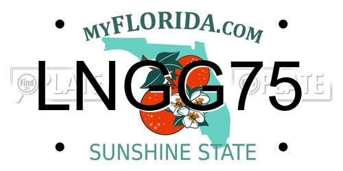 LNGG75 Florida License Plate