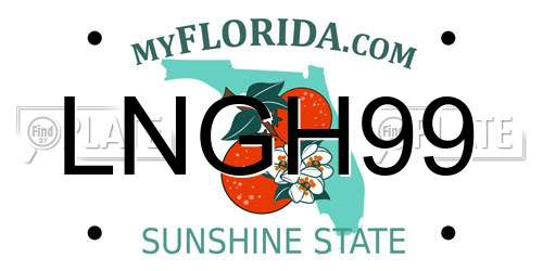 LNGH99 Florida License Plate
