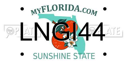 LNGI44 Florida License Plate
