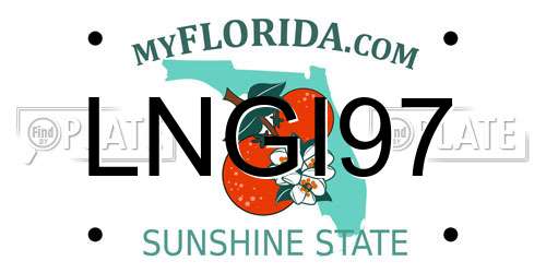 LNGI97 Florida License Plate