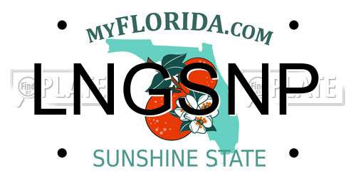 LNGSNP Florida License Plate