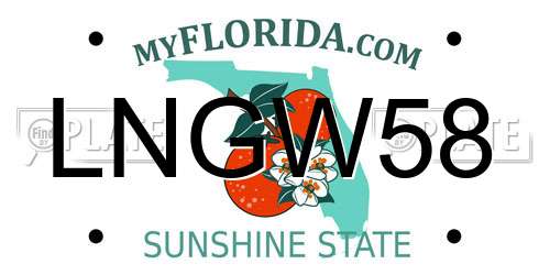 LNGW58 Florida License Plate