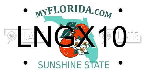 LNGX10 Florida License Plate