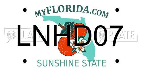 LNHD07 Florida License Plate