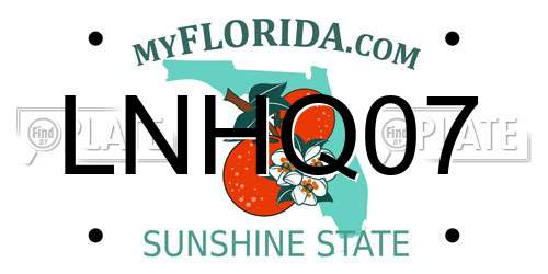 LNHQ07 Florida License Plate