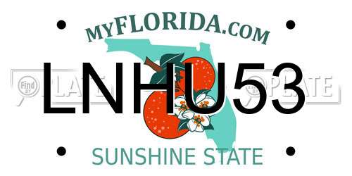 LNHU53 Florida License Plate