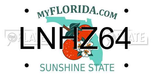 LNHZ64 Florida License Plate