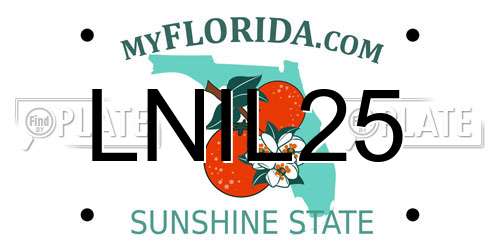 LNIL25 Florida License Plate