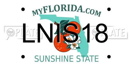 LNIS18 Florida License Plate