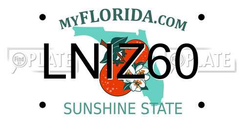 LNIZ60 Florida License Plate