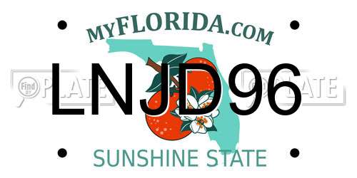 LNJD96 Florida License Plate