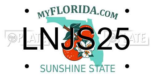 LNJS25 Florida License Plate