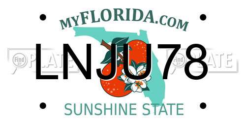 LNJU78 Florida License Plate