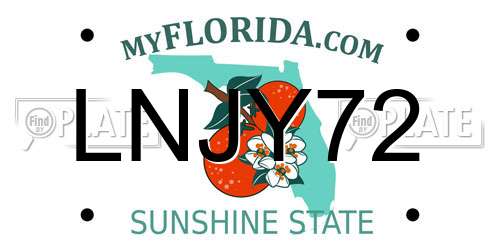 LNJY72 Florida License Plate